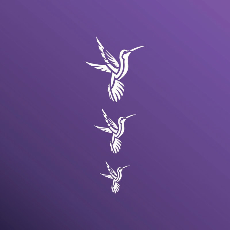 COLIBRI 1030119