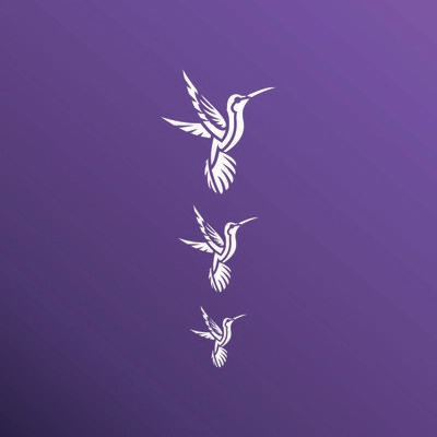 COLIBRI 1030119