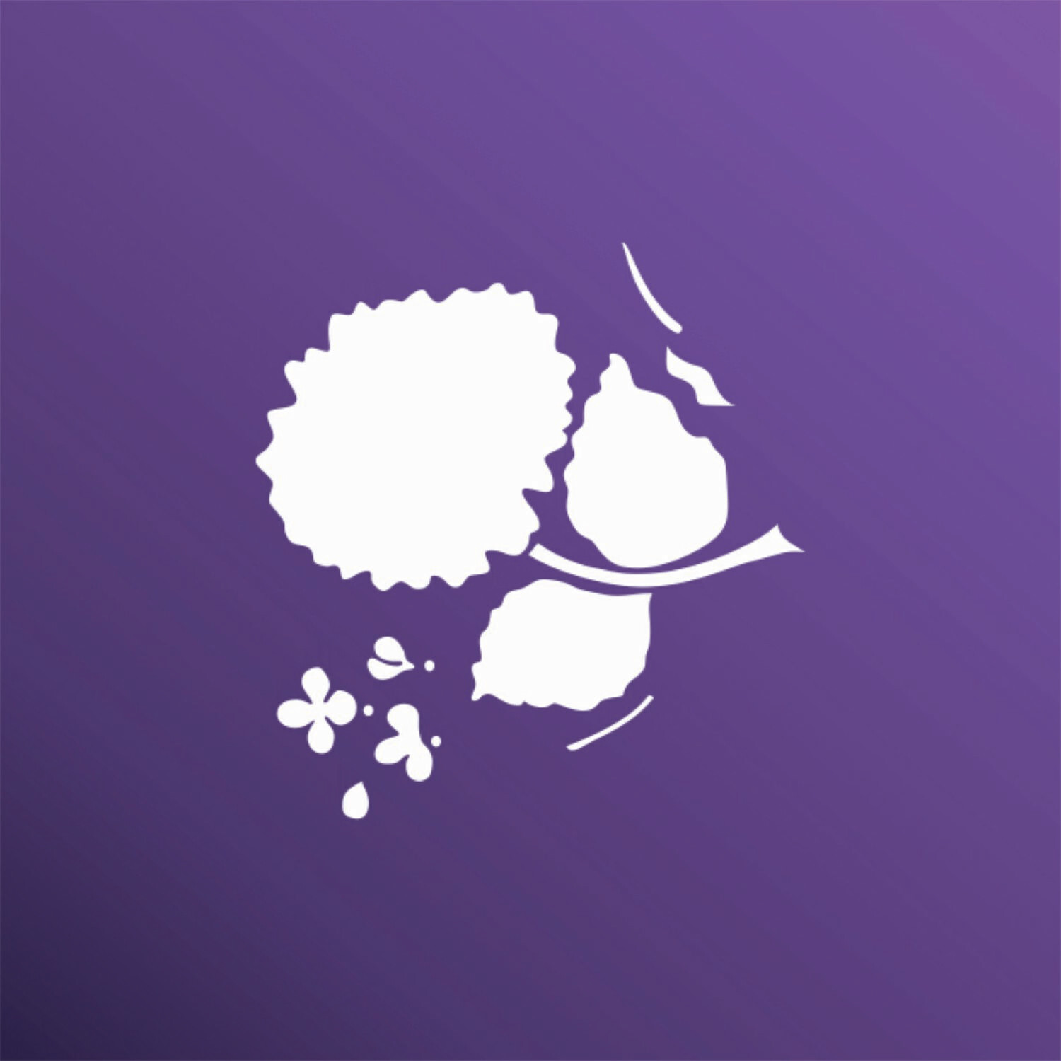 HORTENSIA MINI 1313067