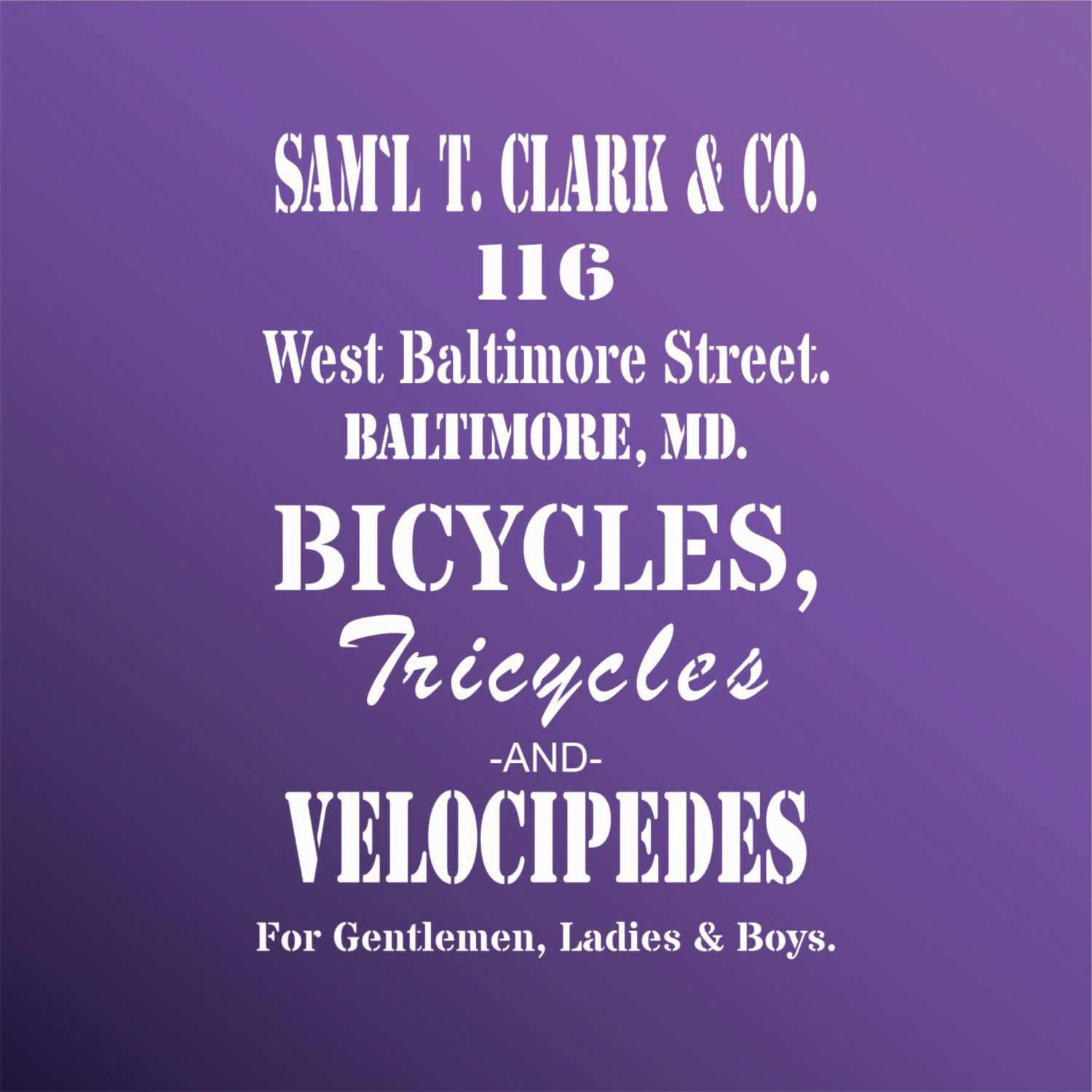BICYCLES TRICYCLES VELOCIPEDES 2025069
