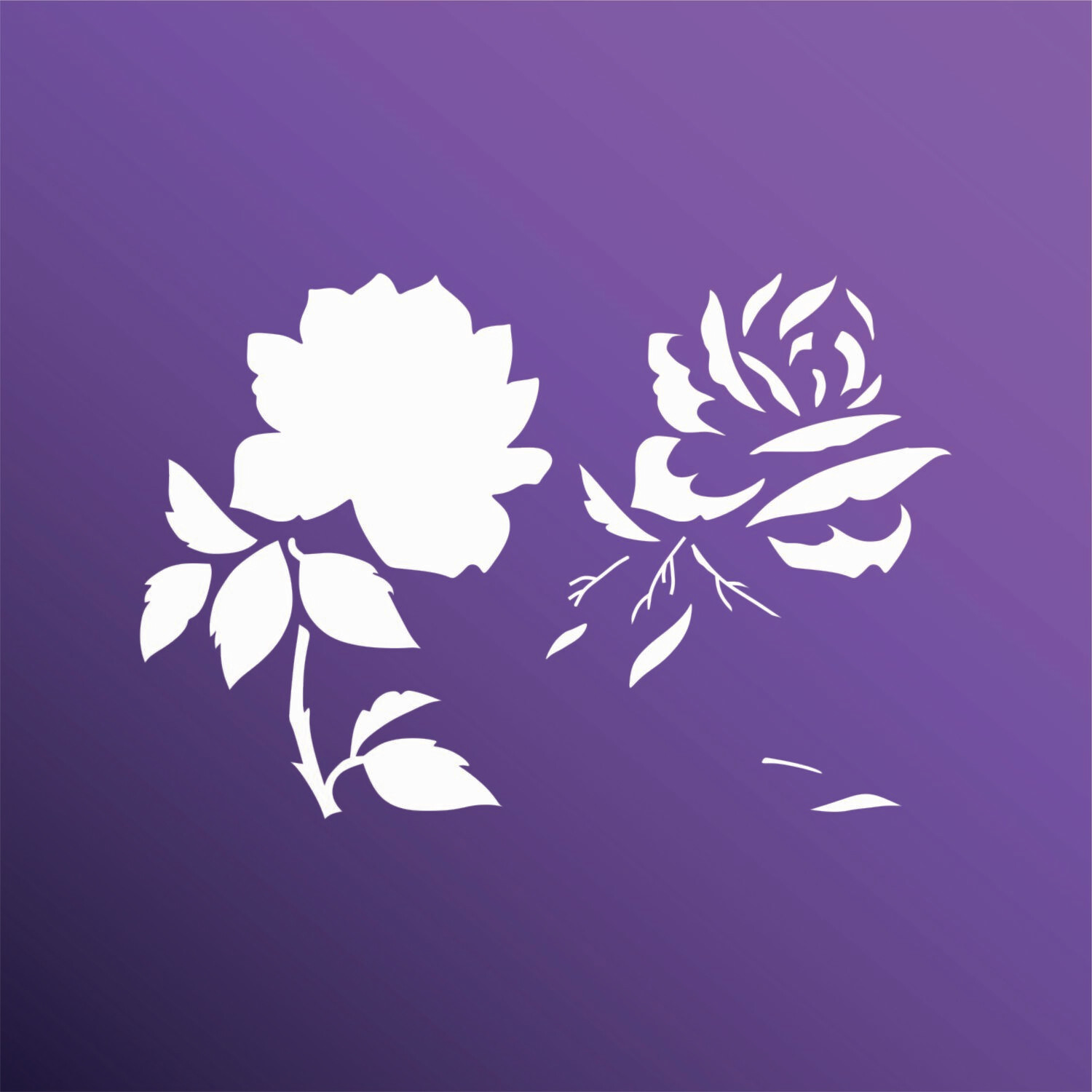 ROSA 1 2025125