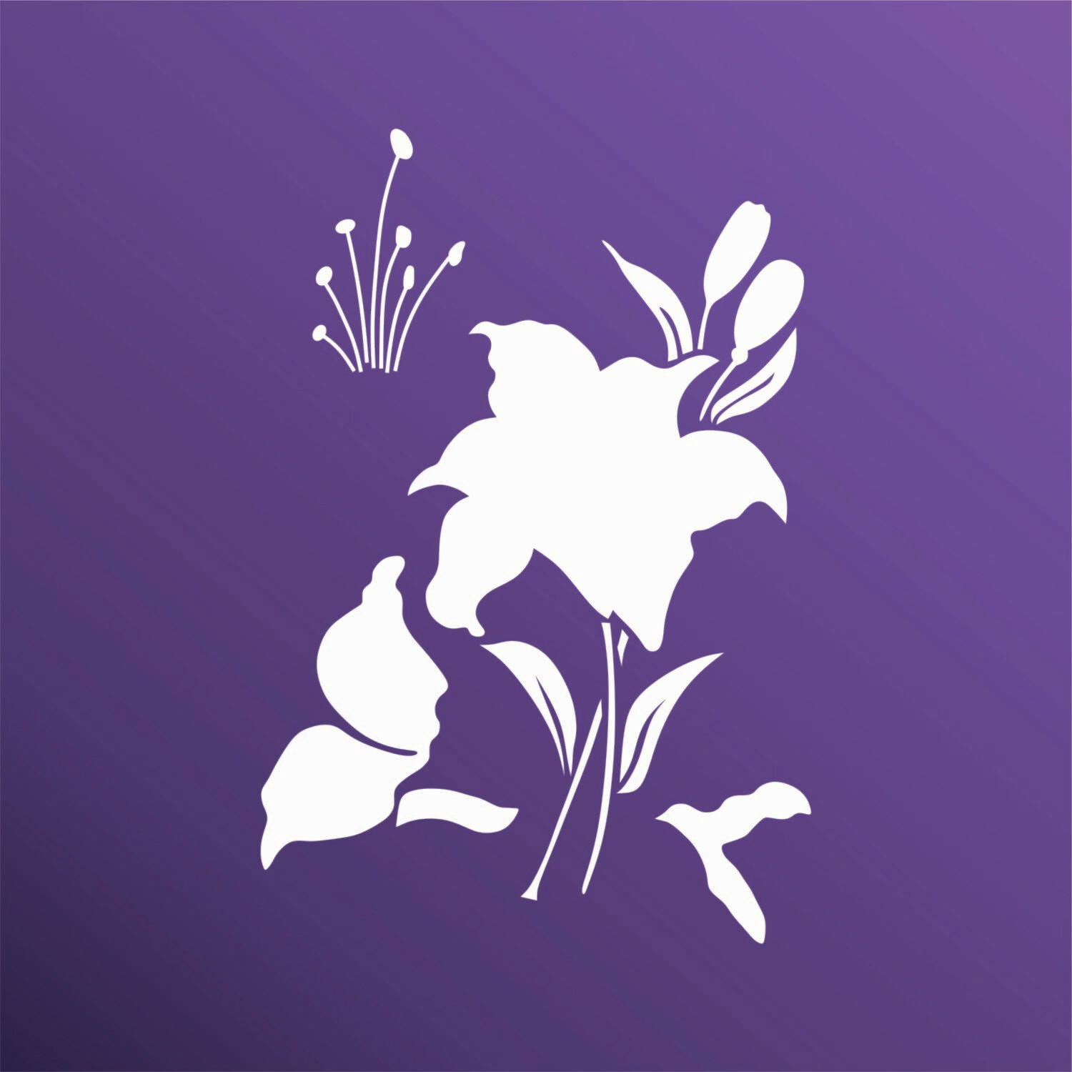 LILIZ 2025170