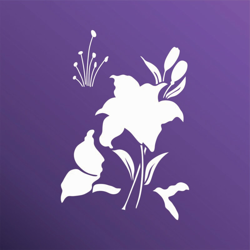 LILIZ 2025170