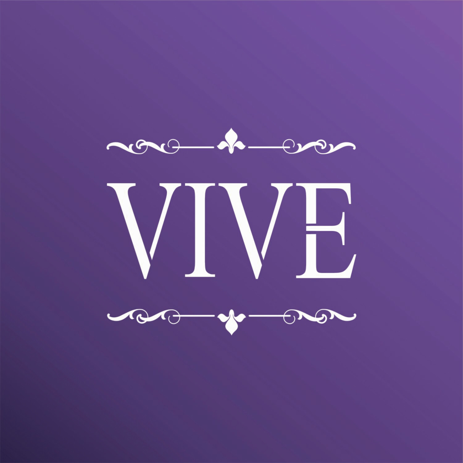 VIVE 2025205