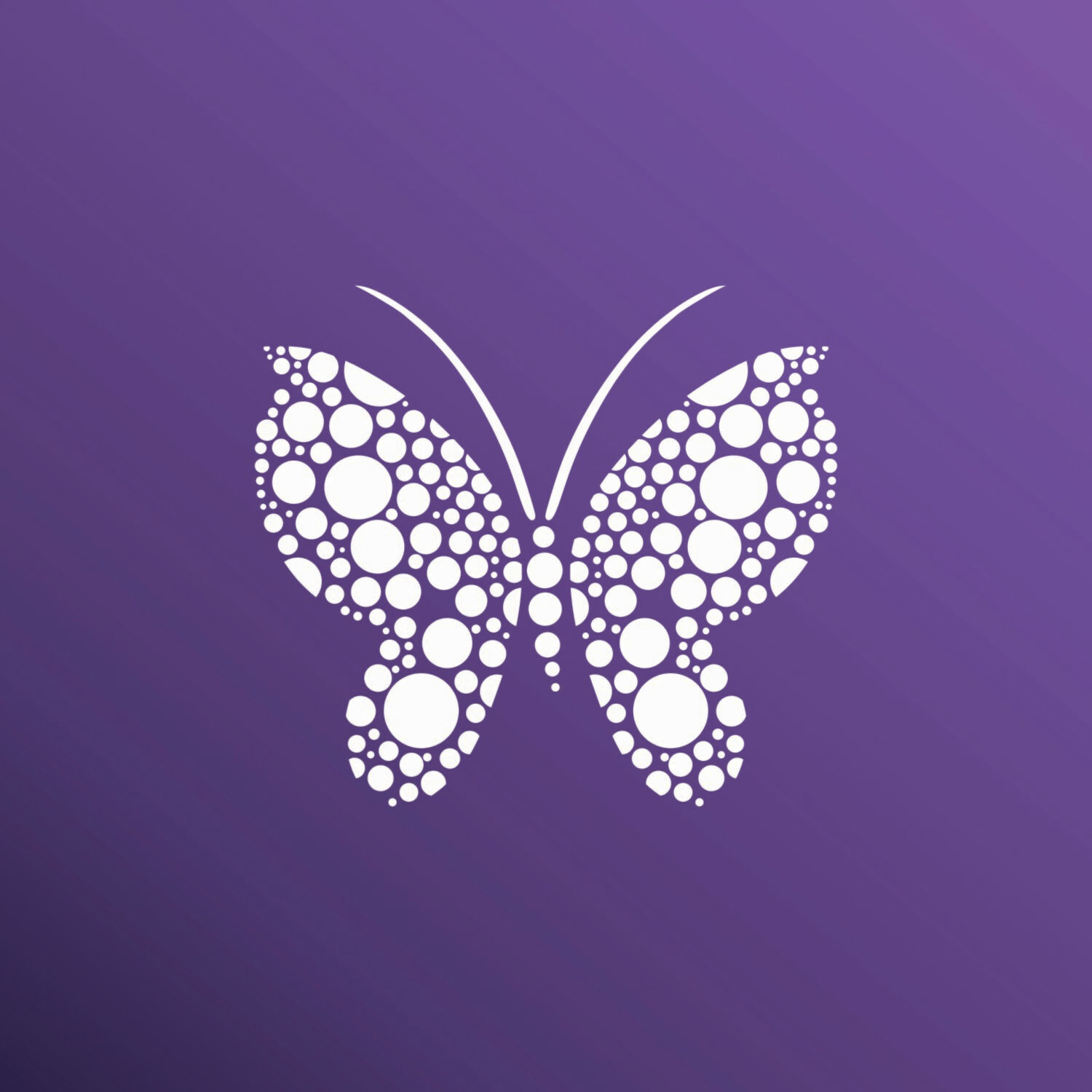 MARIPOSA DARIPAOS 2025324