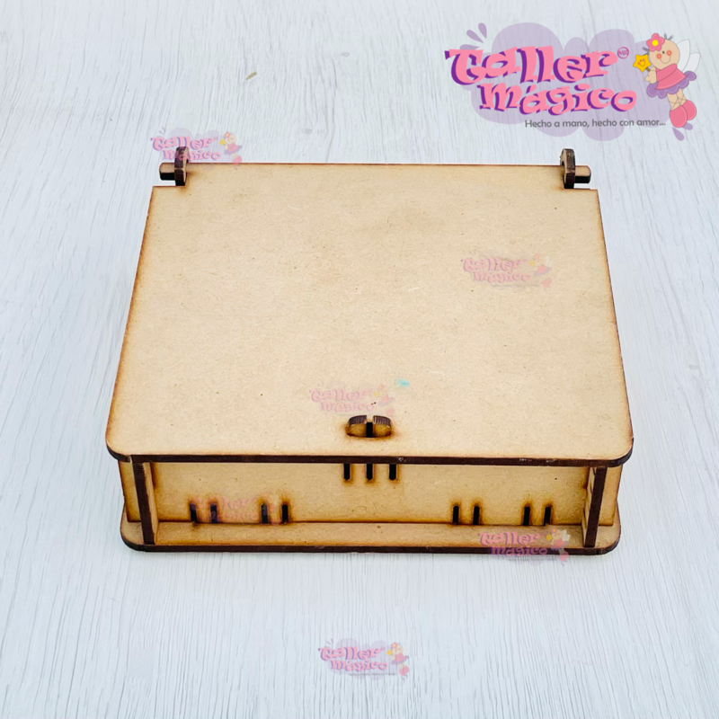 CAJA LASER LISA