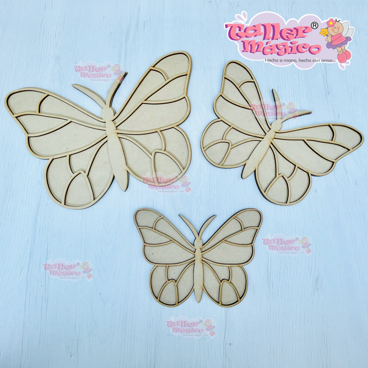 MARIPOSAS ANTENAS RECTAS DE FRENTE