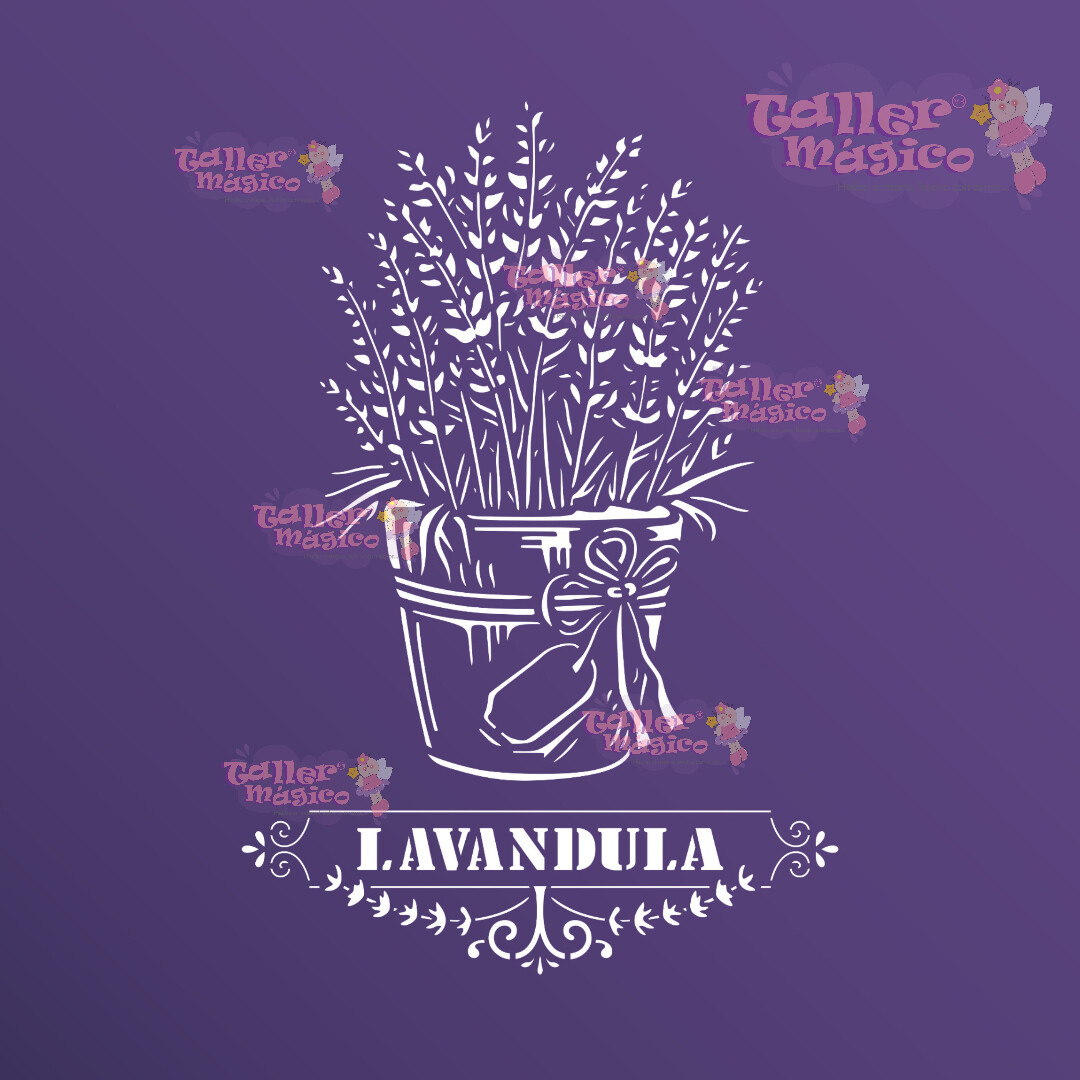 LAVANDULA 2025459