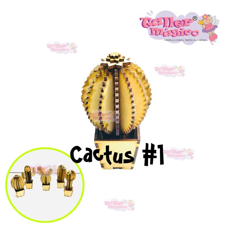 CACTUS ABBY #1