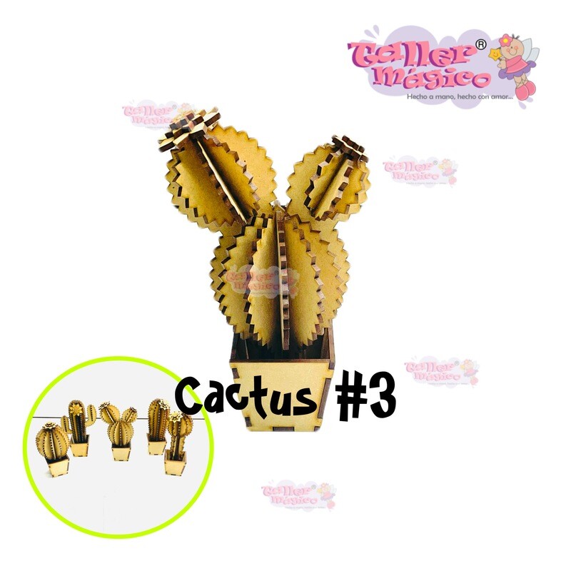 CACTUS ABBY #3