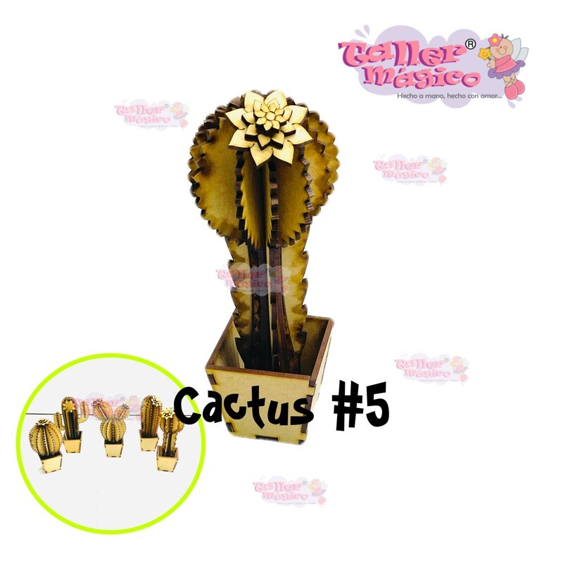 CACTUS ABBY #5