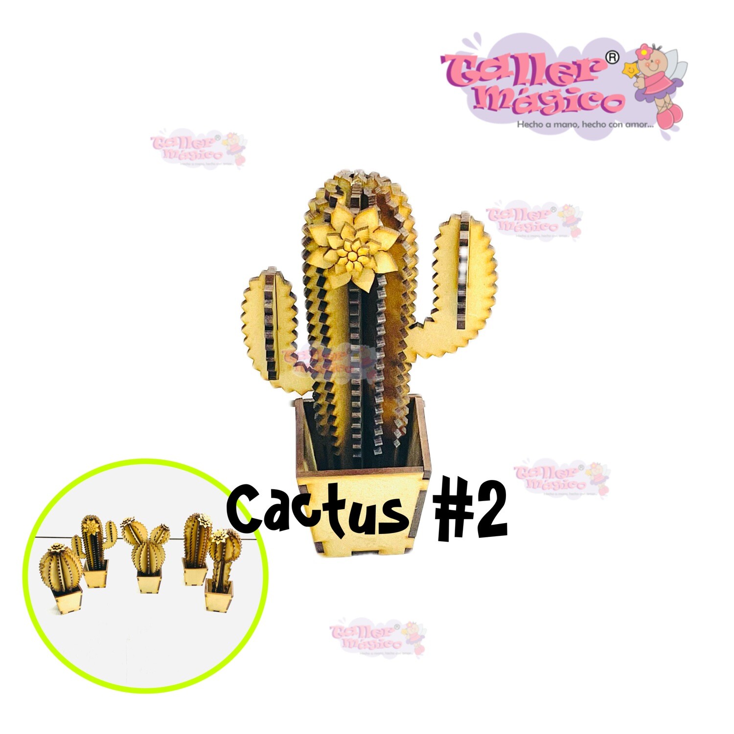 CACTUS ABBY #2