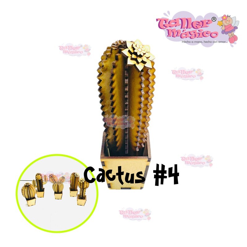CACTUS ABBY #4