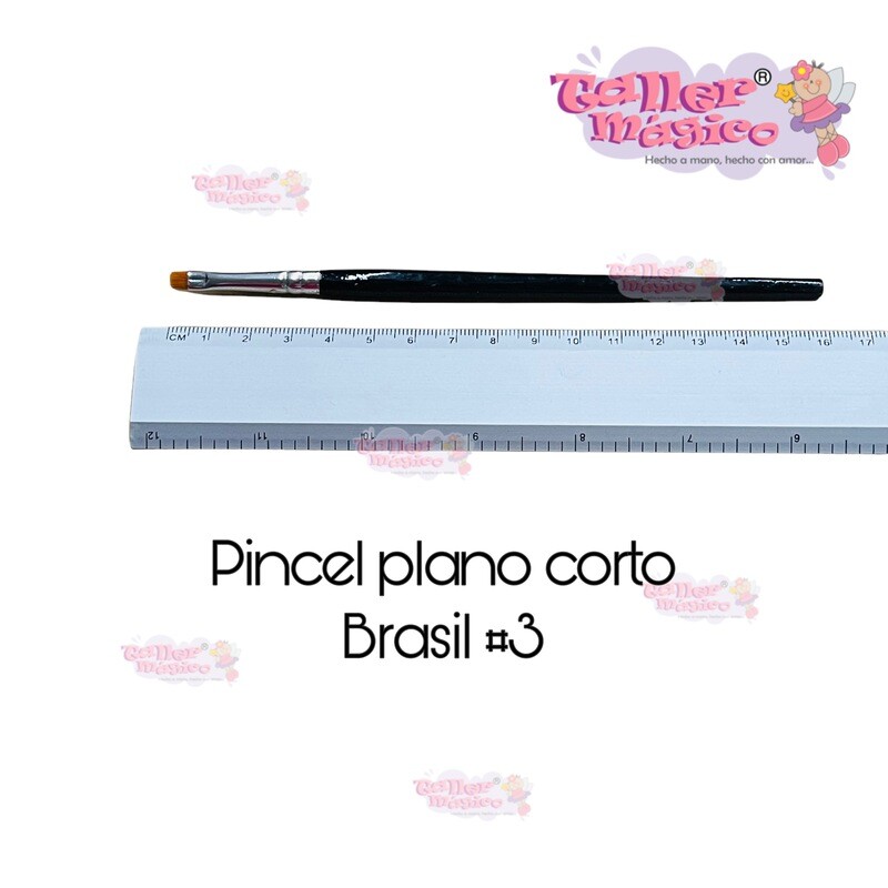 PLANO BRASIL #3