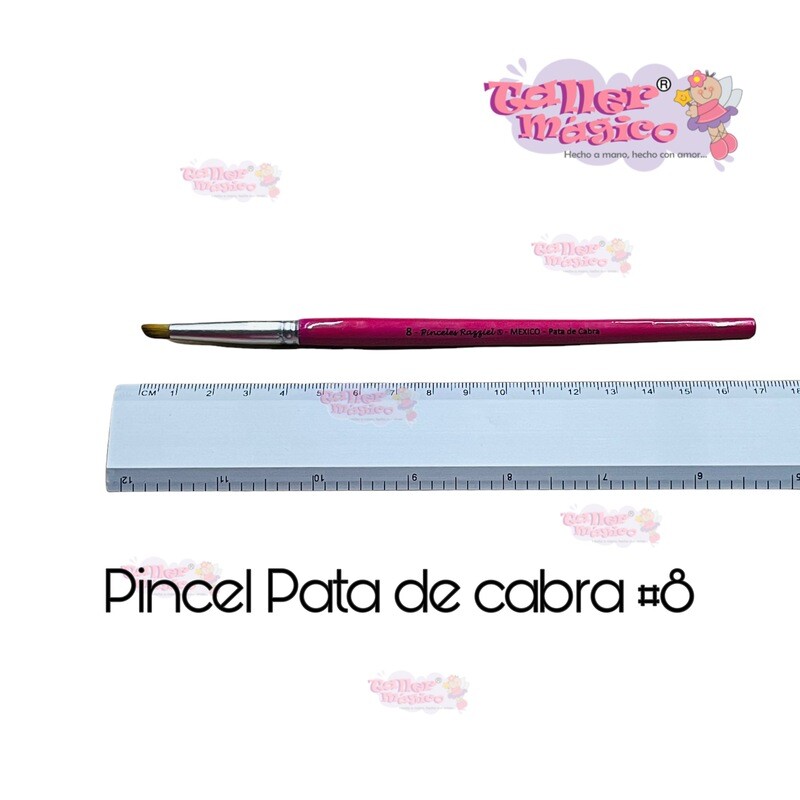 PINCEL PATA DE CABRA #8