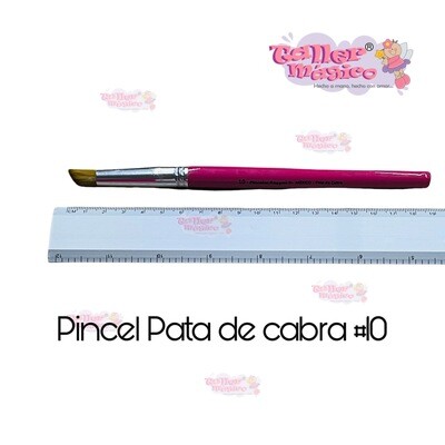 PINCEL PATA DE CABRA #10