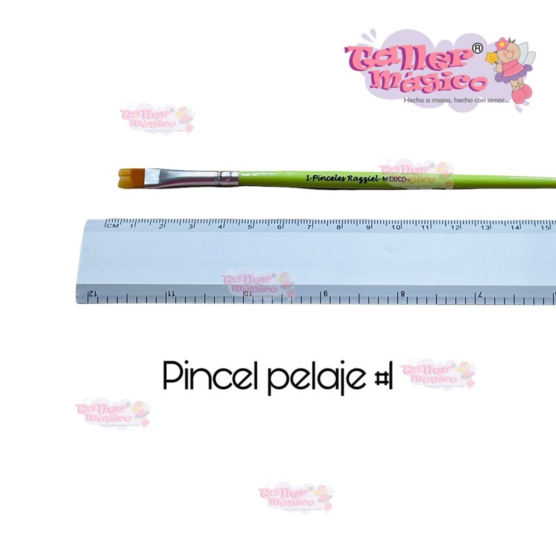 PNCEL PELAJE # 1
