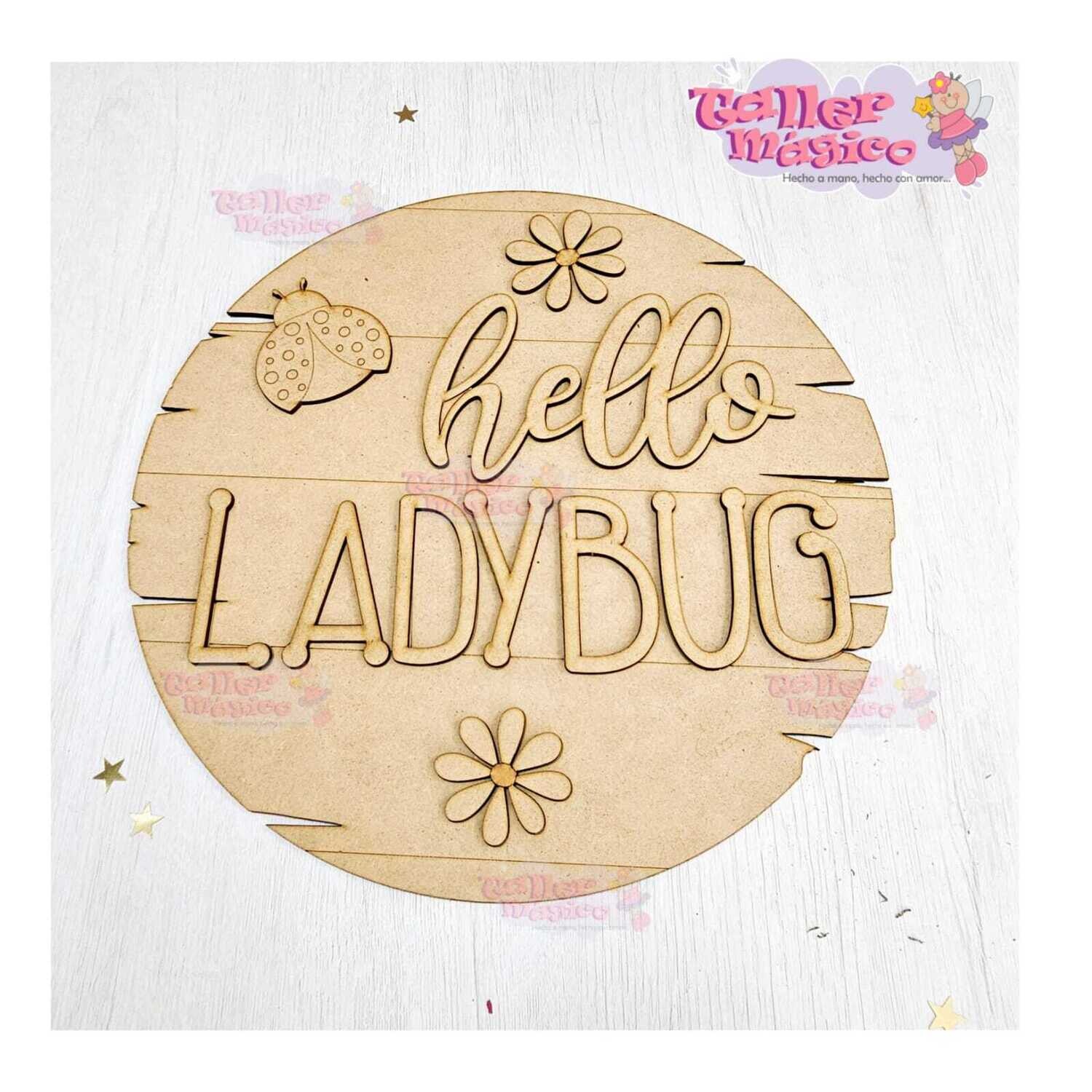 CIRCULO LADYBUG 35CM