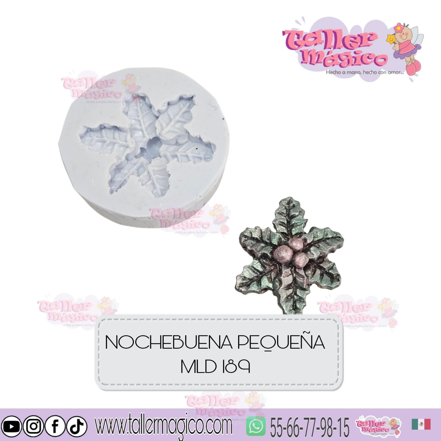 MOLDE NOCHEBUENA PEQUEÑA