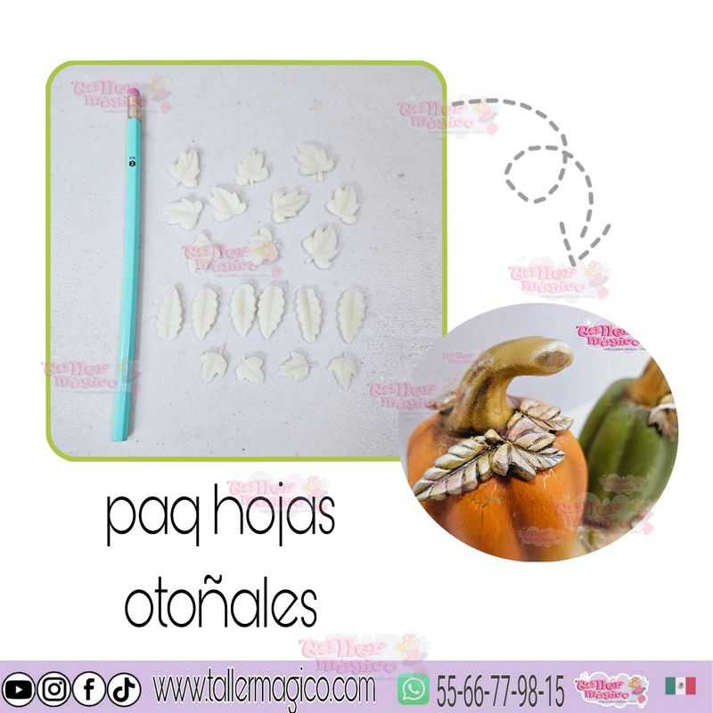 PAQ FLORES OTOÑALES