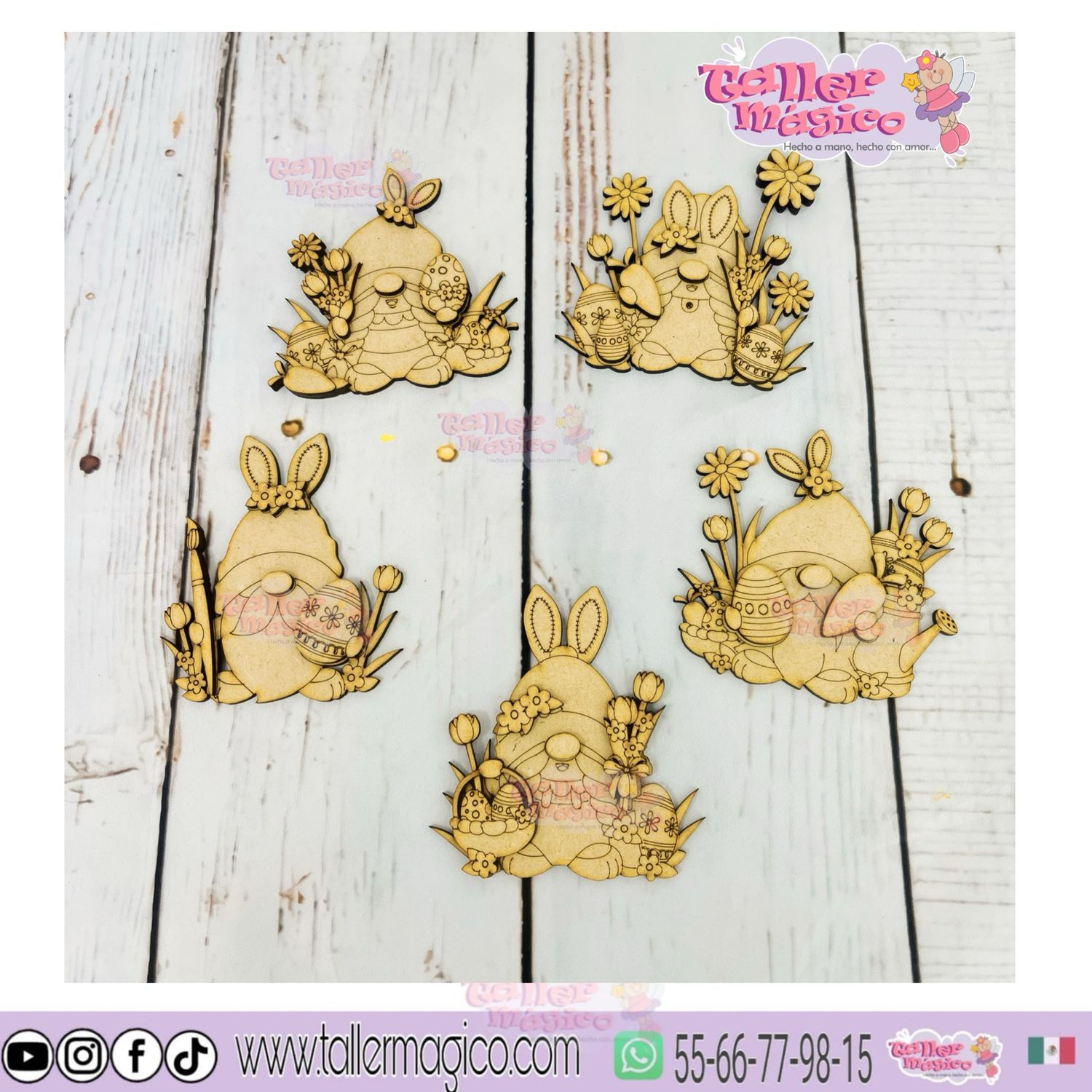 PAQUETE GNOMOS FLORAL LISO