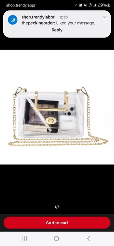Clear concert handbag
