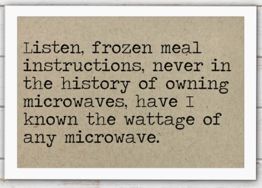 Frozen Meal Instructions Funny Magnet