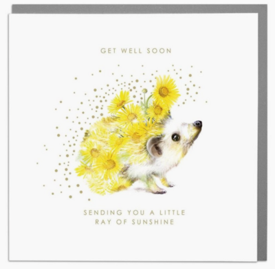 Hedgehog Sending You A Little Ray Of Sunshine Get Well Soon Card