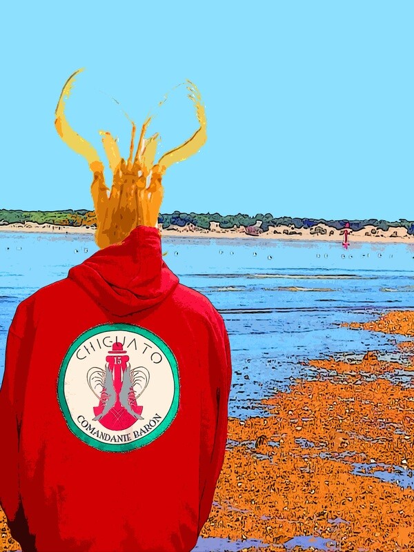 SUDADERAS