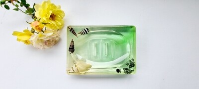 Seashell soap holder