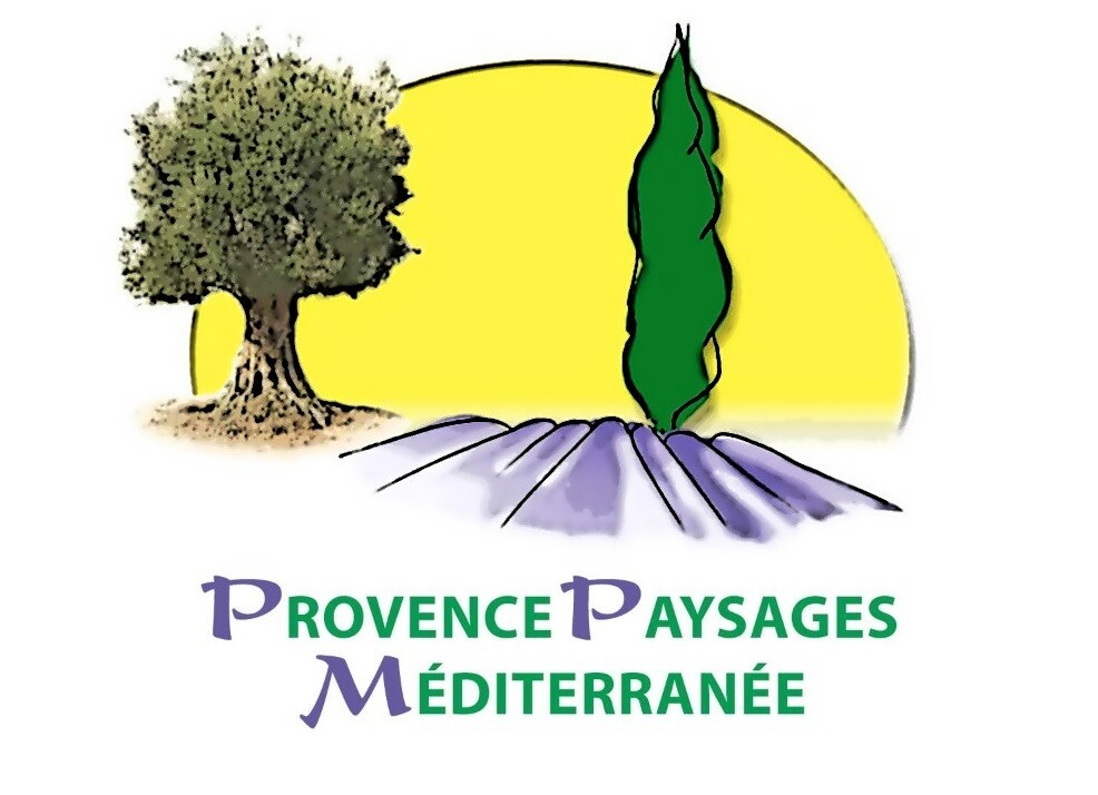 Carte cadeau