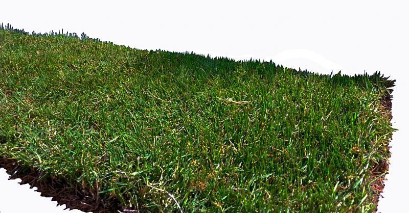 Le Bermuda Grass