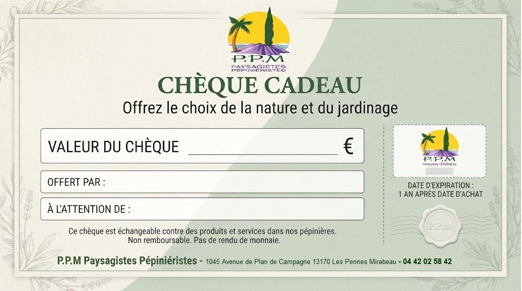 Carte cadeau