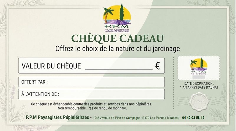 Carte cadeau
