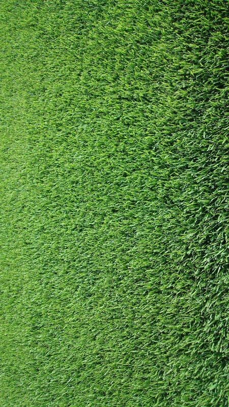 Le Bermuda Grass ou Sècheresse