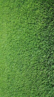 Le Bermuda Grass ou Sècheresse