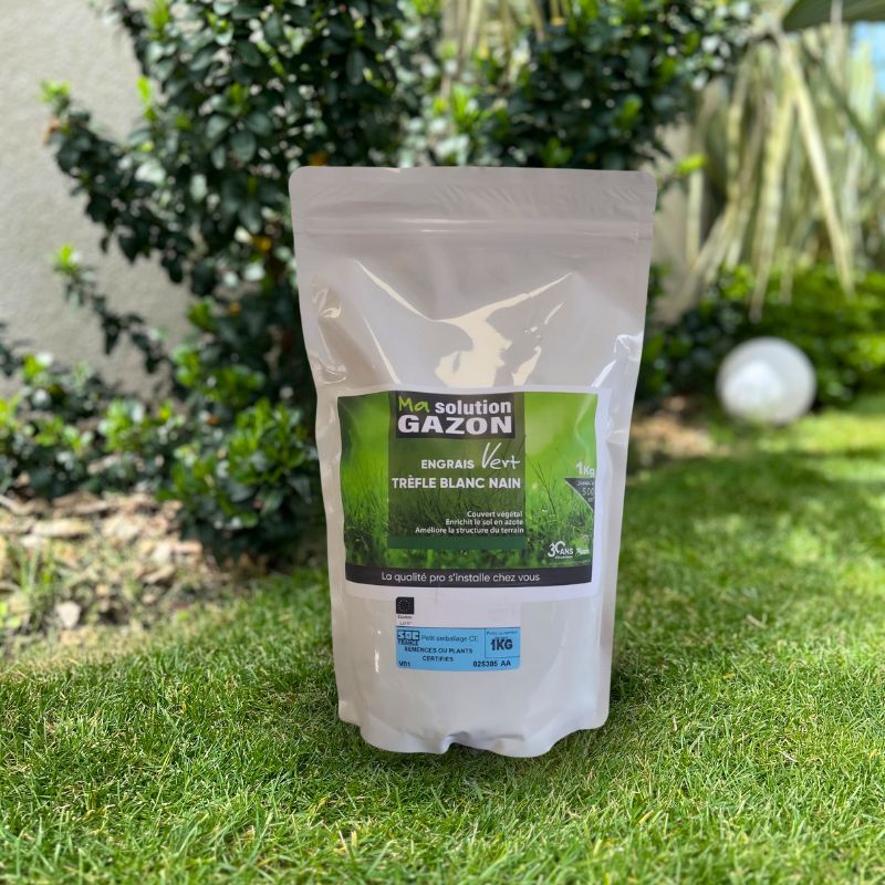 Engrais vert trèfle blanc nain