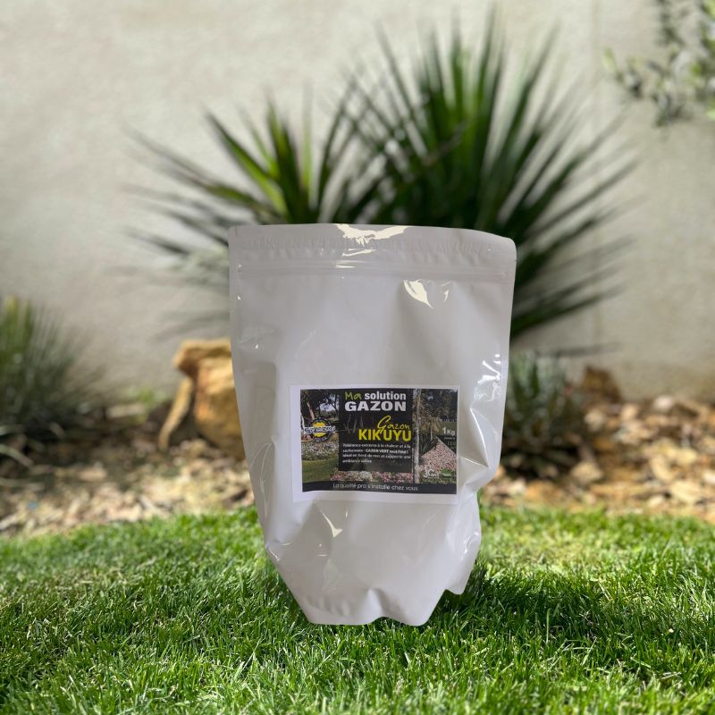 Gazon Kikuyu