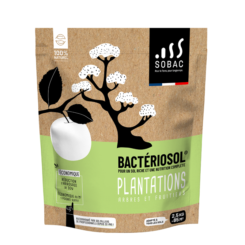 Bacteriosol plantation