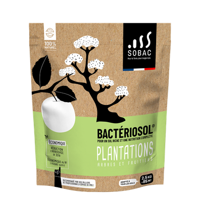 Bacteriosol plantation