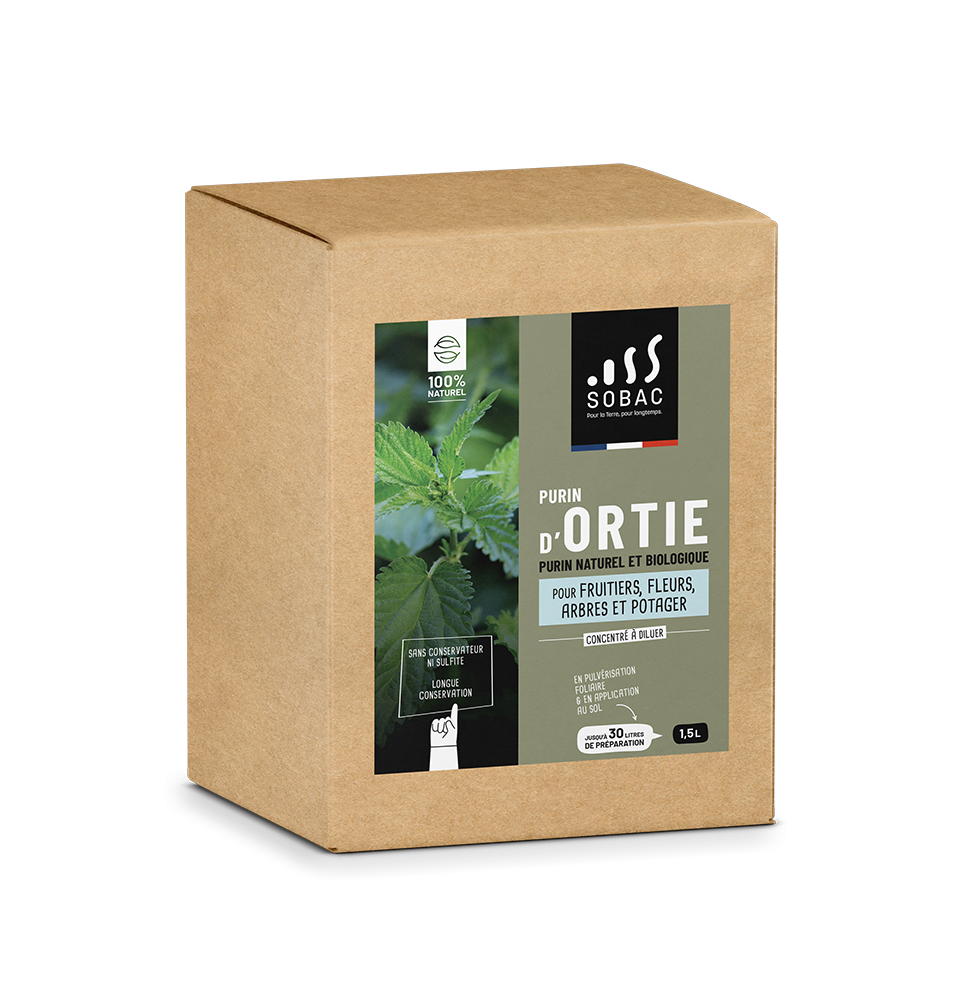 Purin d'ortie