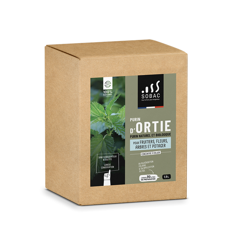 Purin d'ortie