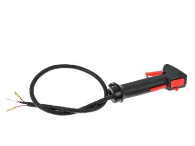 Regler für Motorsense