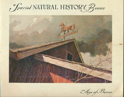 Special Natural History Bonus An Age of Barns Eric Sloane Vintage Paperback