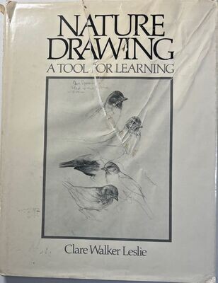 Nature Drawing A Tool For Learning HCDJ 1980 First