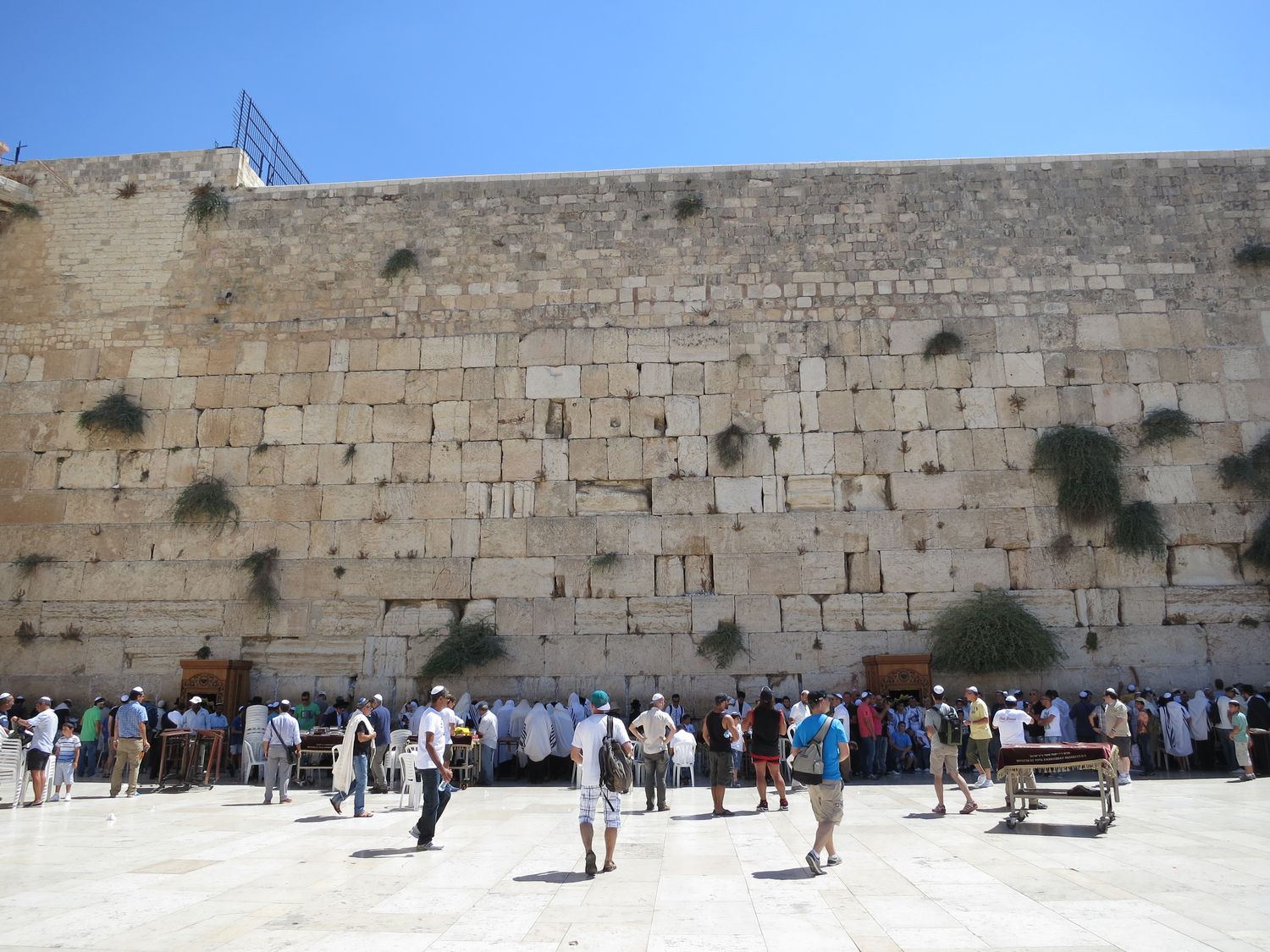 Israel Bible Lands Study Tour