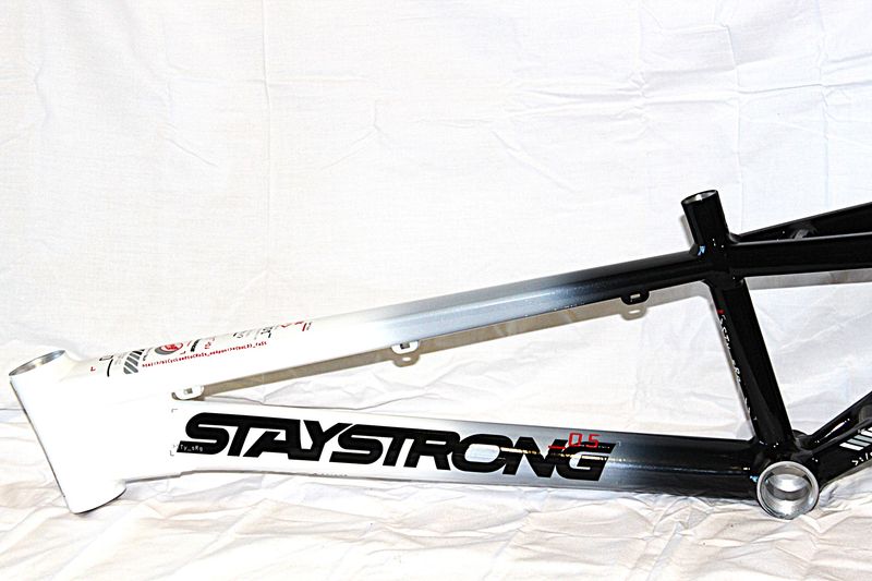 Staystrong V5 Expert XL