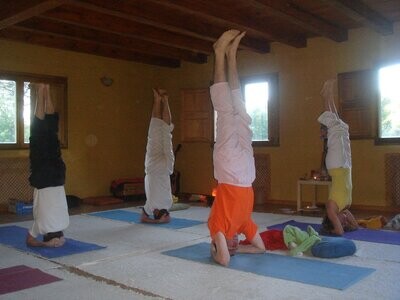 Hatha Yoga Integral
27 enero
