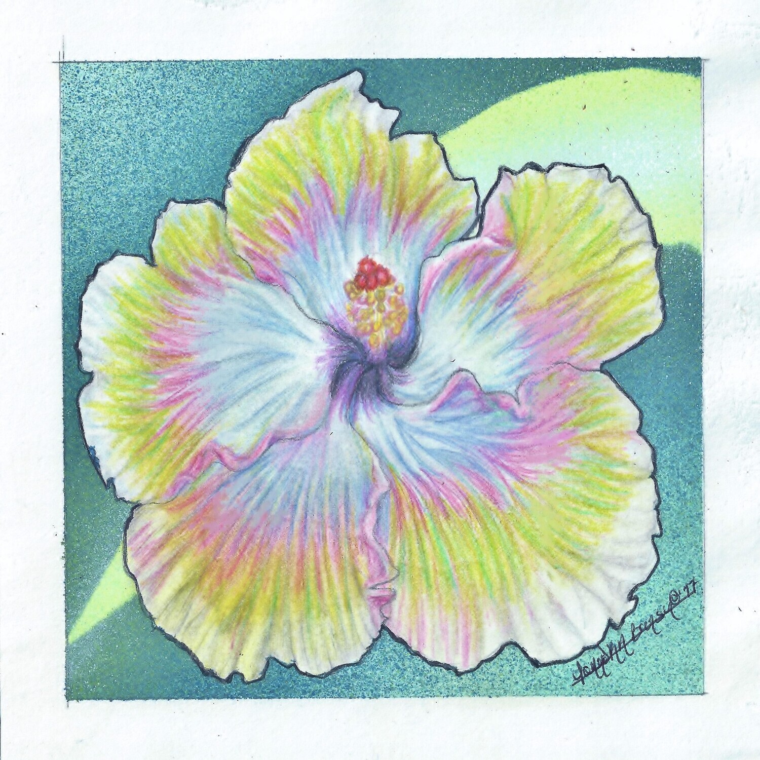 Hibiscus