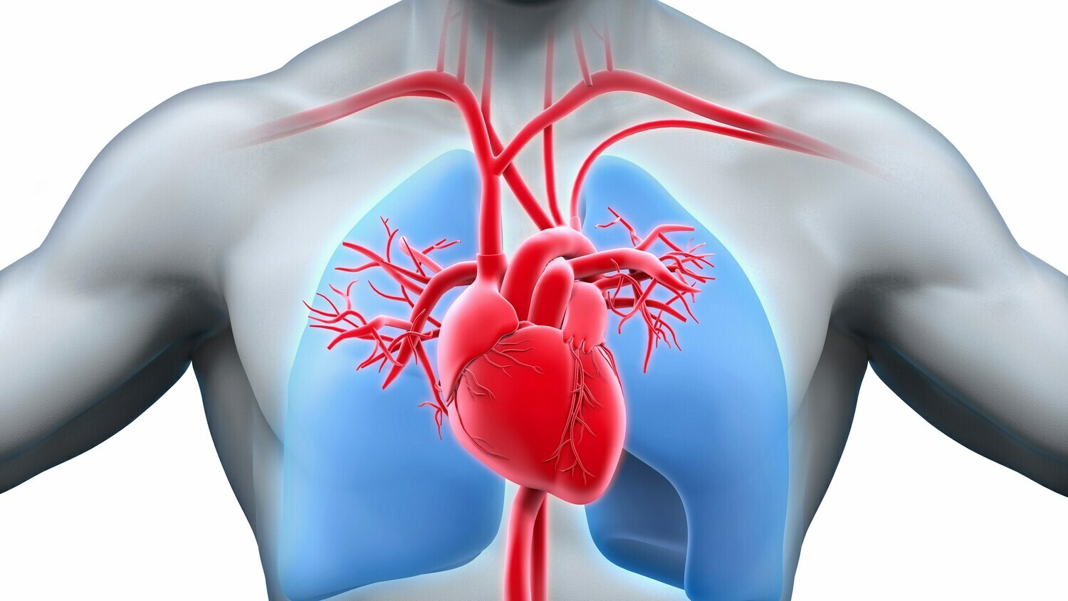 Comprehensive Cardiovascular Health Panel Comprehensive Cardiovascular Health Panel